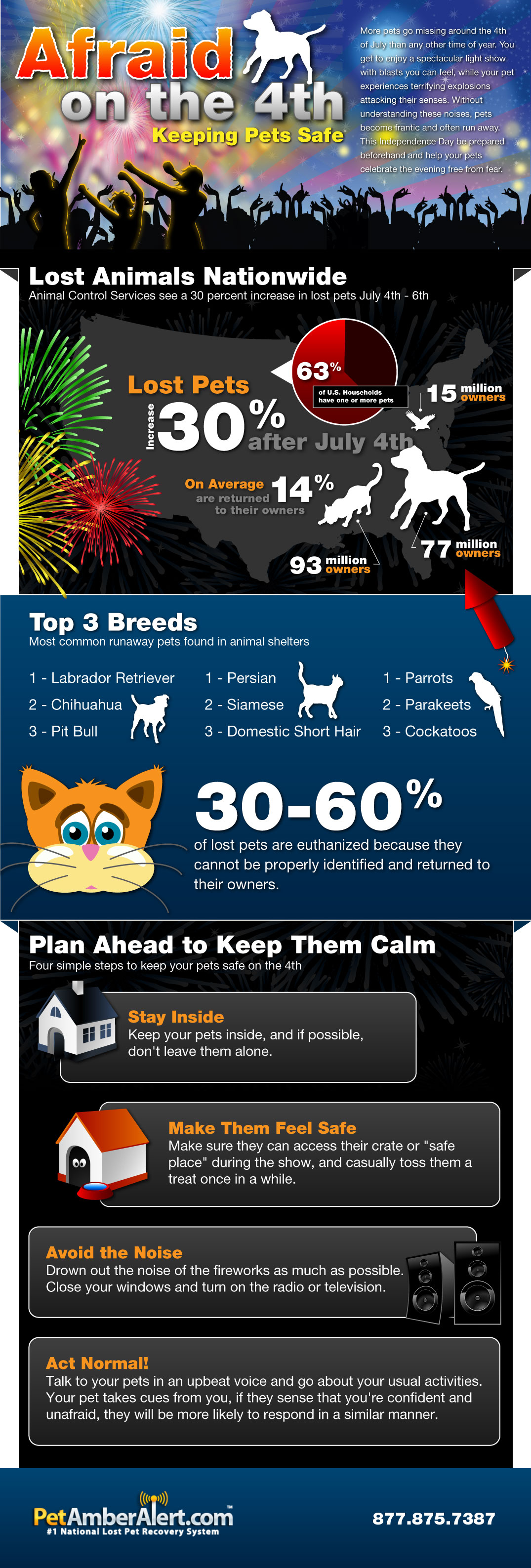 lost pets infographic