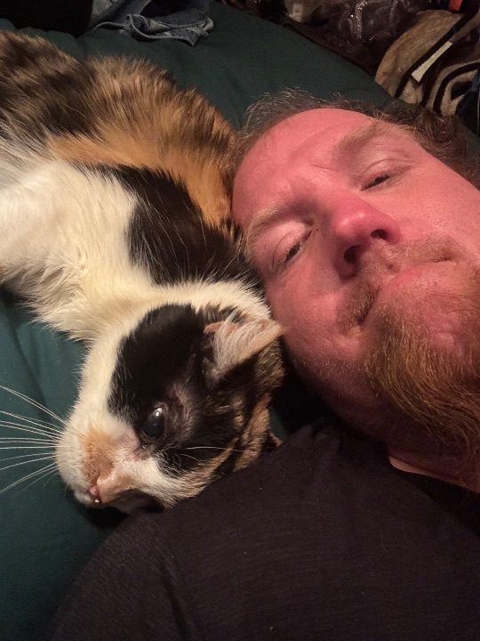 Charlie, lost cat, Calico
