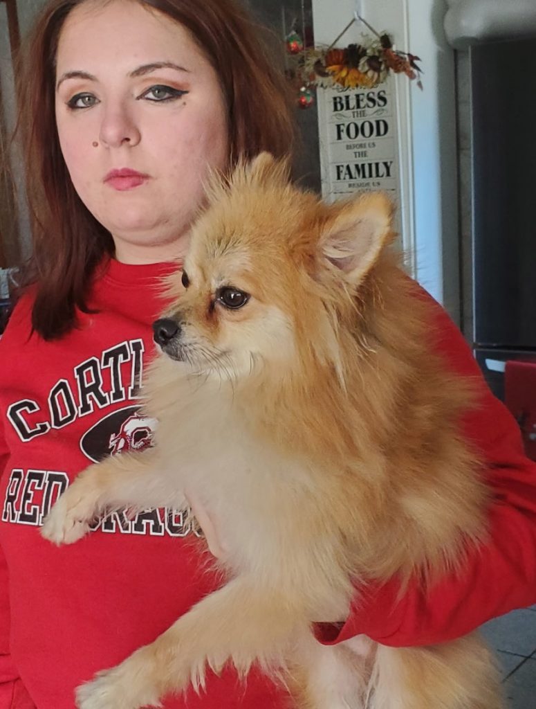 Dino, lost dog, Pomeranian