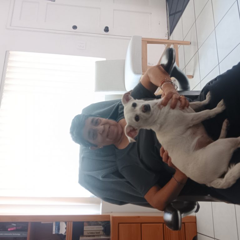 Nieve, lost dog, Chihuaha