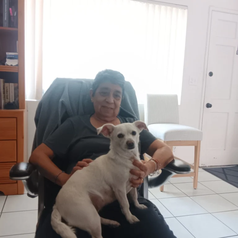 Nieve, lost dog, Chihuaha