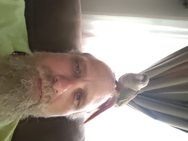 Kiwi, lost bird, Conure