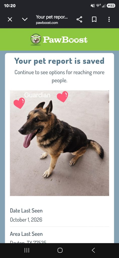 Guardian, lost dog, German Shepherd