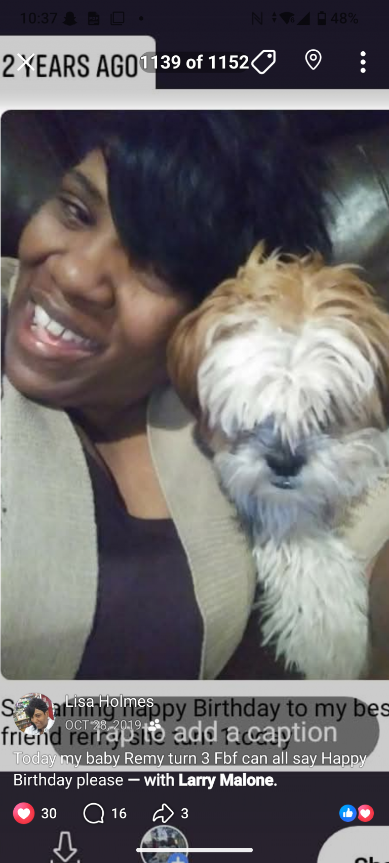 Remy, lost dog, shih Tzu