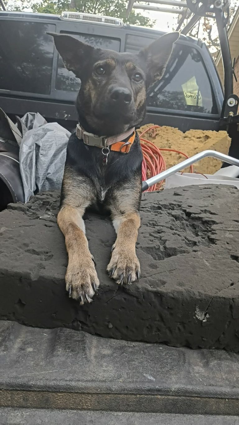 Merlina Deanda, lost dog, Desde pequeña