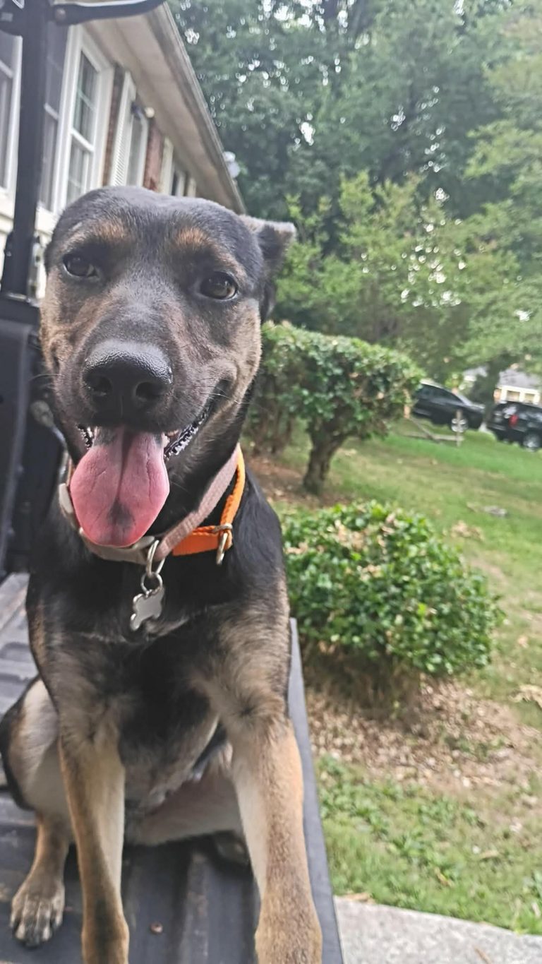 Merlina Deanda, lost dog, Desde pequeña
