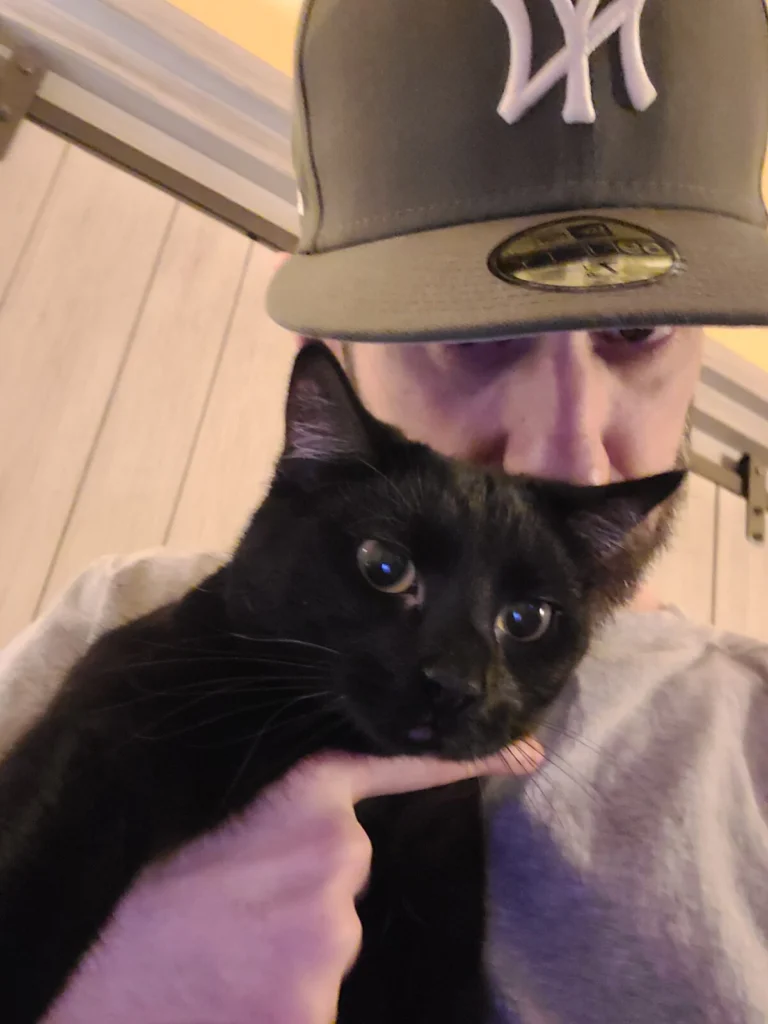 Live, lost cat, Bombay