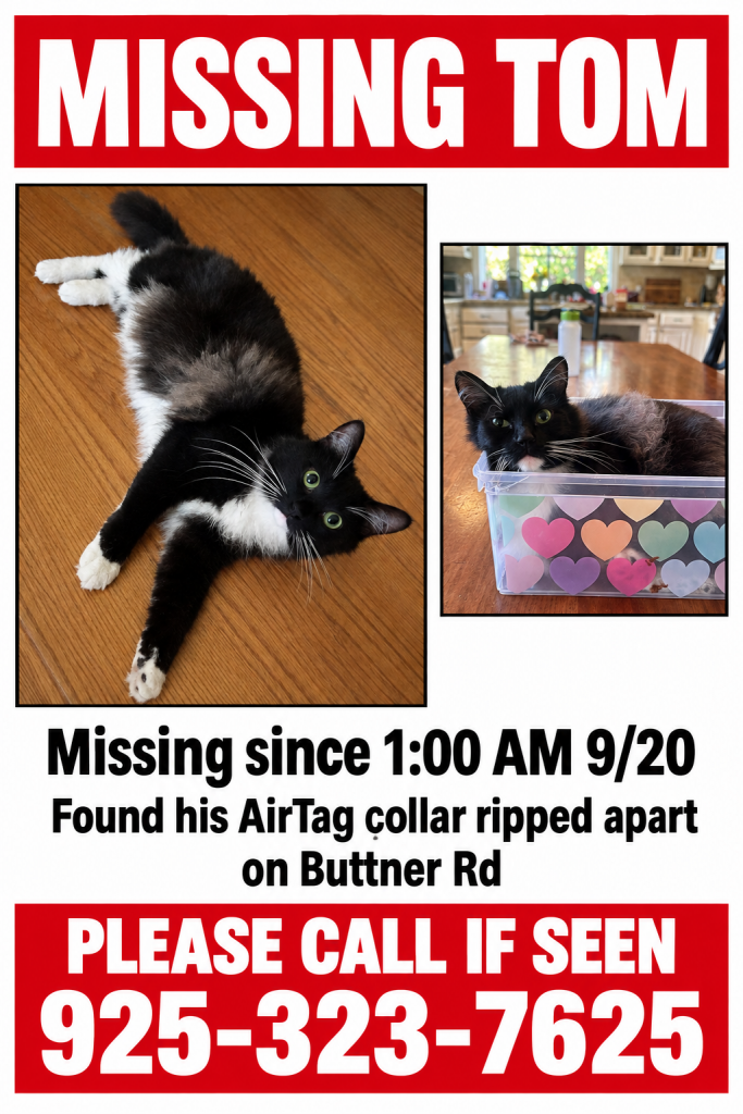 Tom, lost cat, Tuxedo
