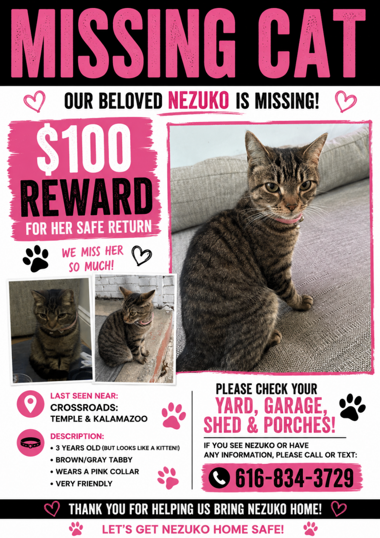 Nezuko, lost cat, Tabby