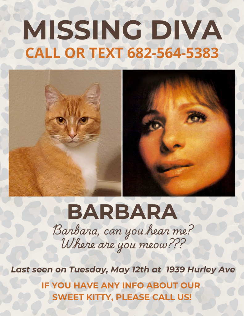 Barbara, lost cat, Tabby