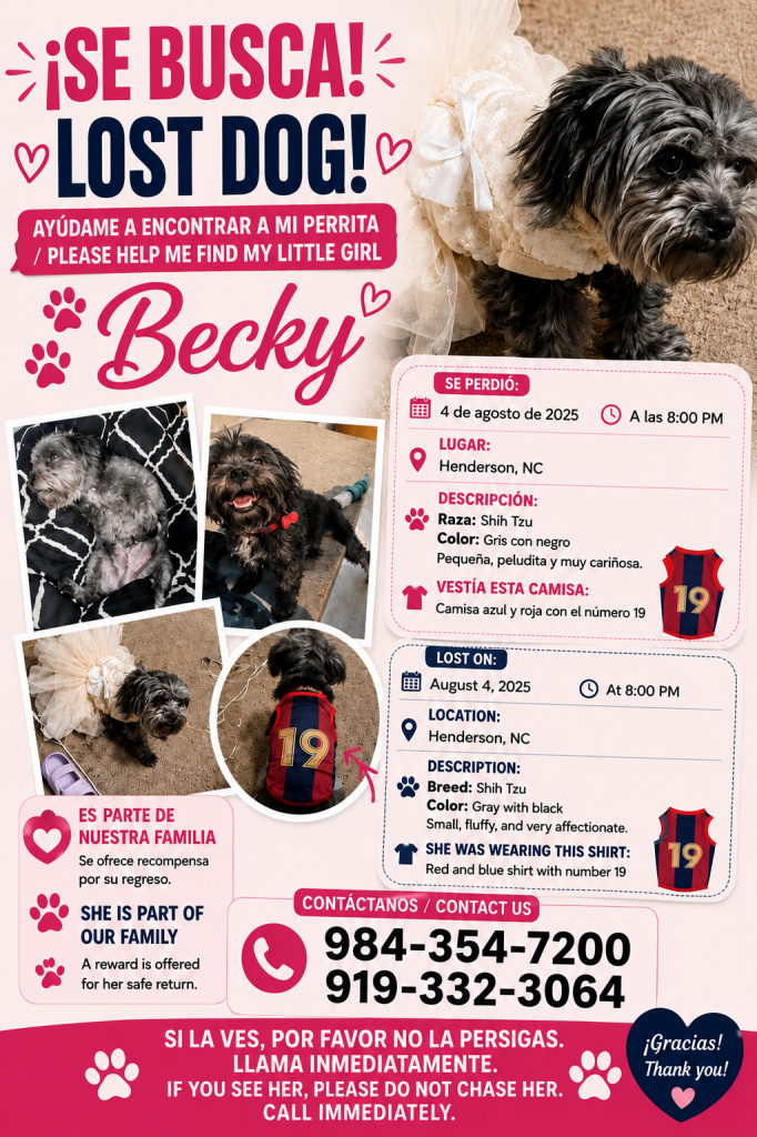 Becky, lost dog, Femenino