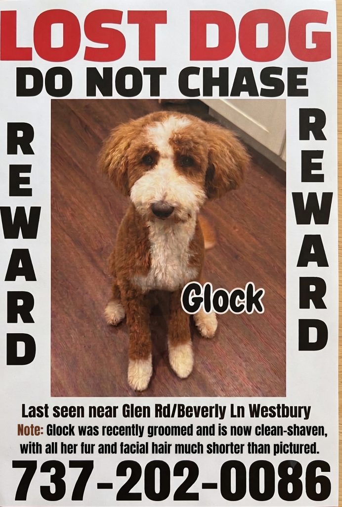 Glock, lost dog, Goldendoodle