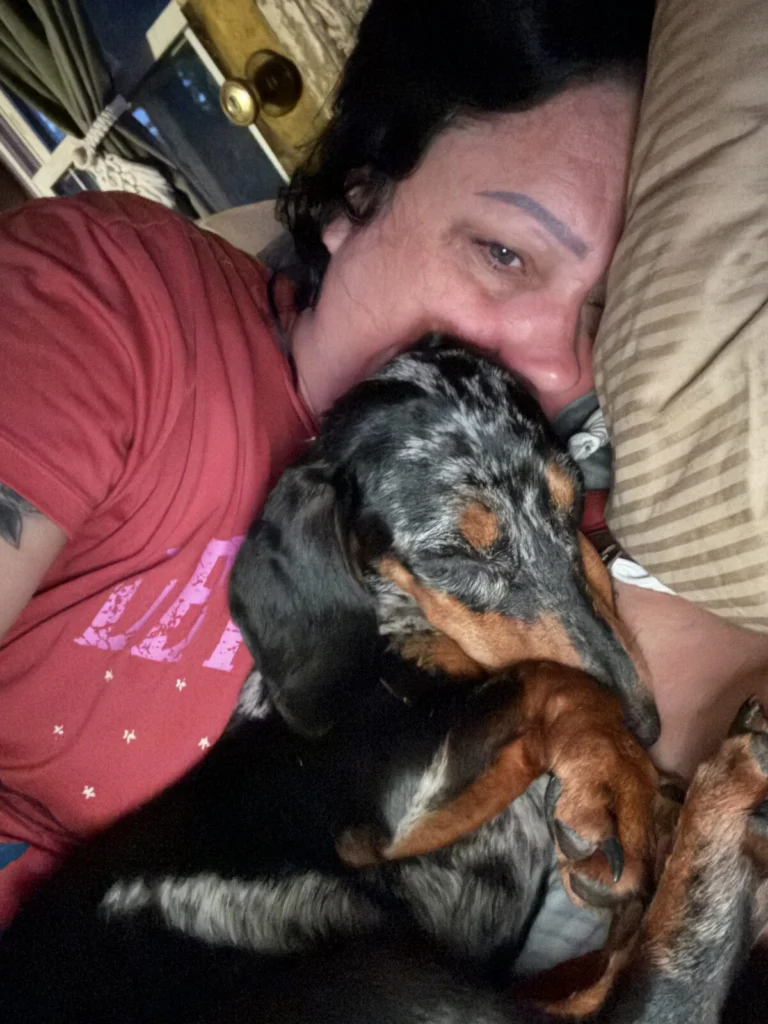 Mr Weenie, lost dog, Dachshund