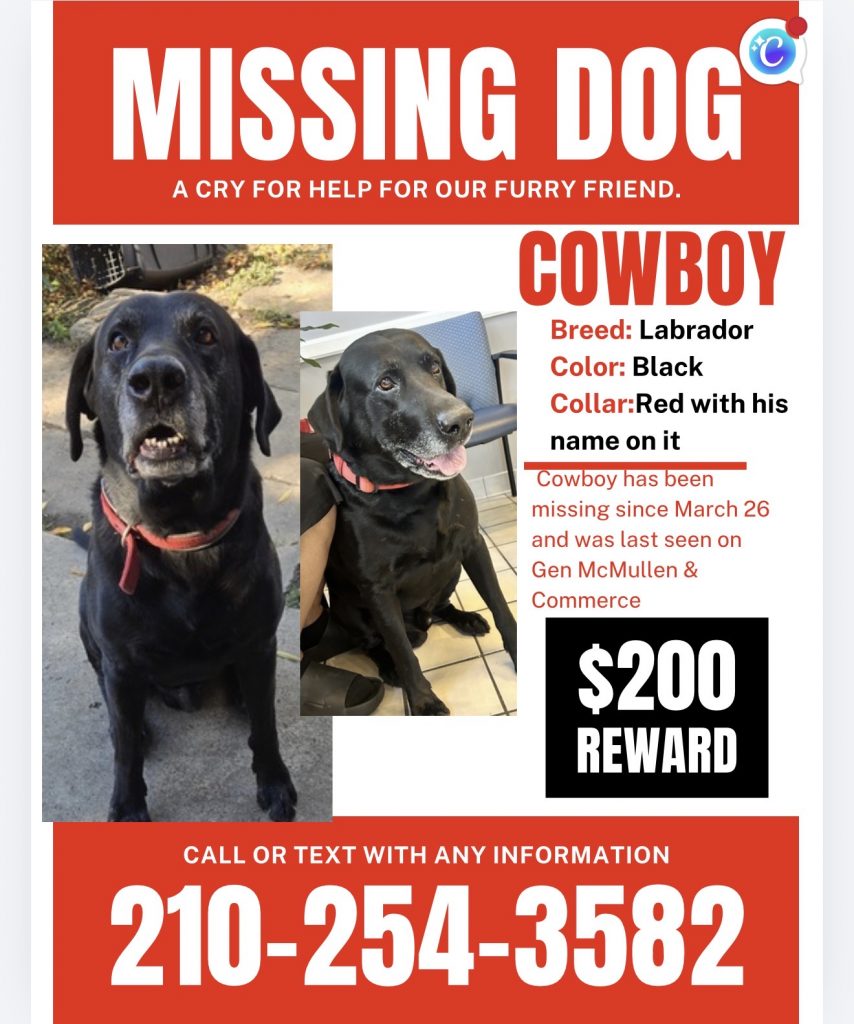 Cowboy, lost dog, Lab