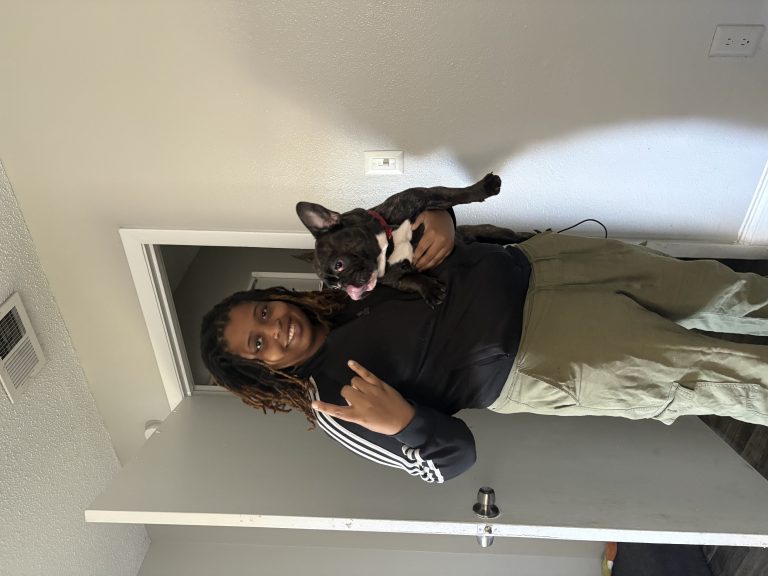 Cuervo, lost dog, French Bulldog