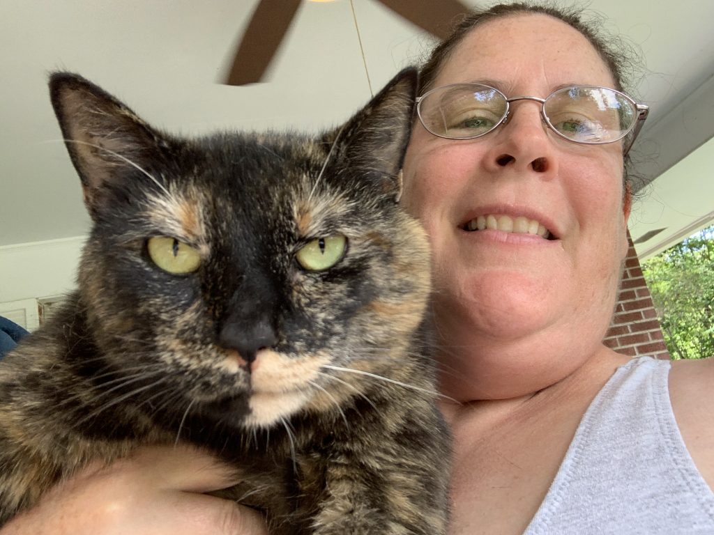 Sammie, lost cat, Domestic short hair