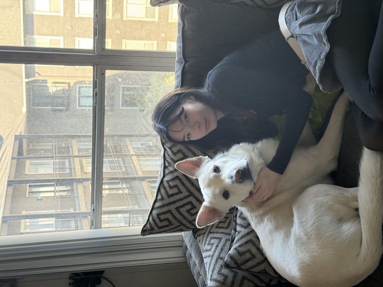 Simon, lost dog, Husky