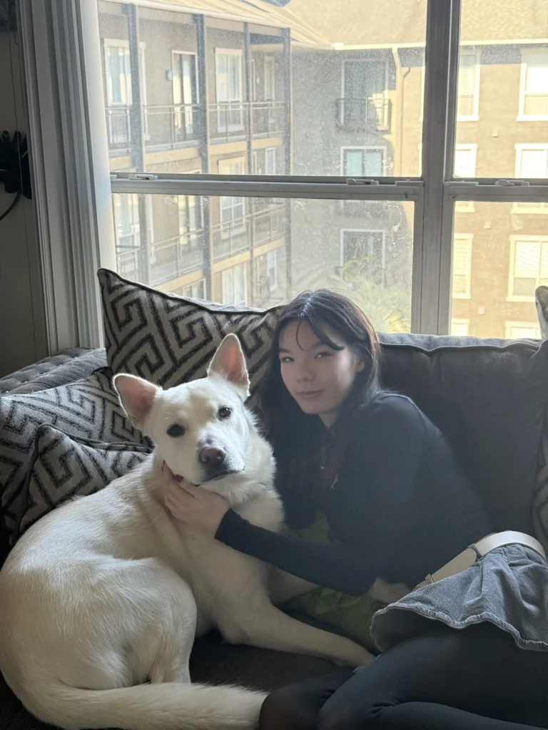Simon, lost dog, Husky