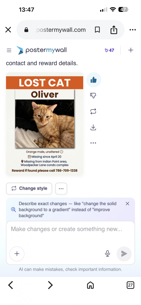Oliver, lost cat, orange