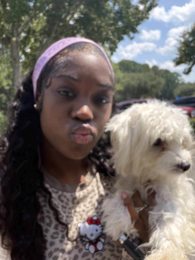 Snowy, lost dog, maltese