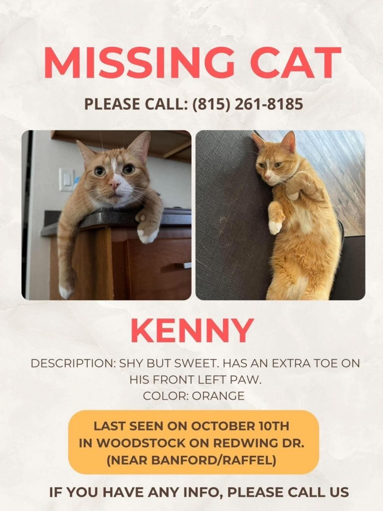 Kendrick, lost cat, Mix