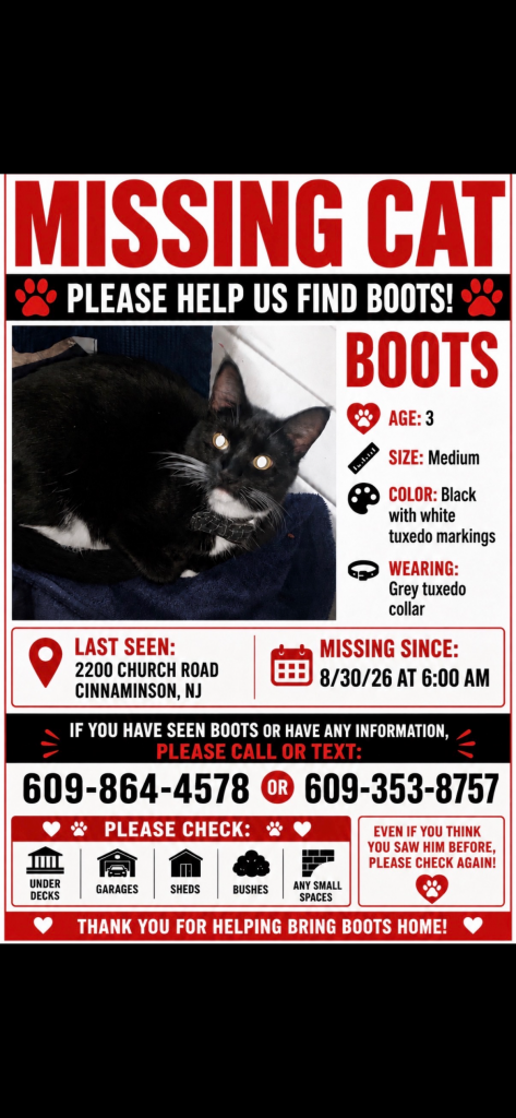 Boots, lost cat, Tuxedo cat