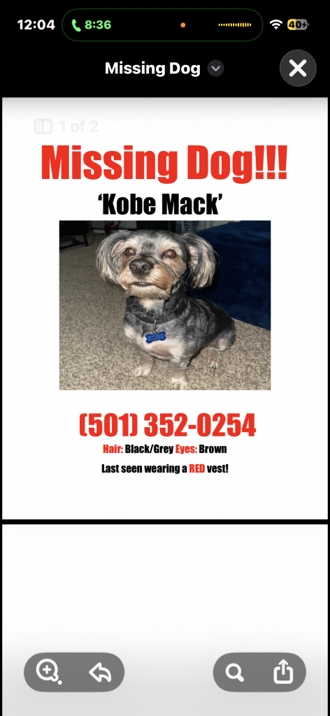 Kobe Mack, lost dog, Na