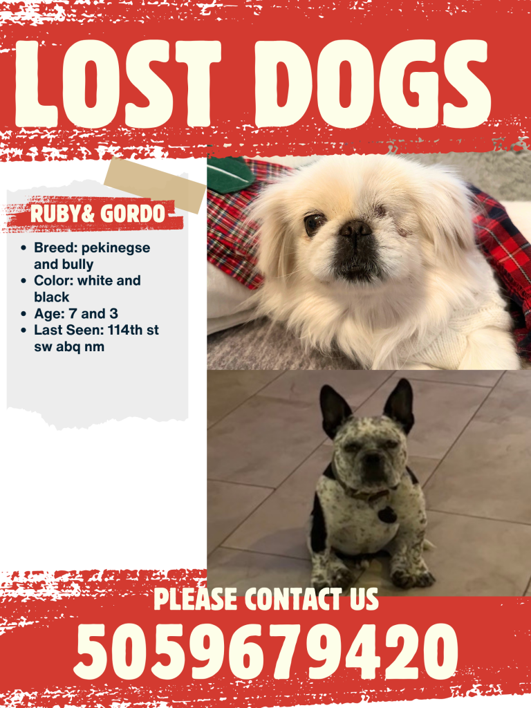 Gordo And Ruby, lost dog, Bully and Pekingese