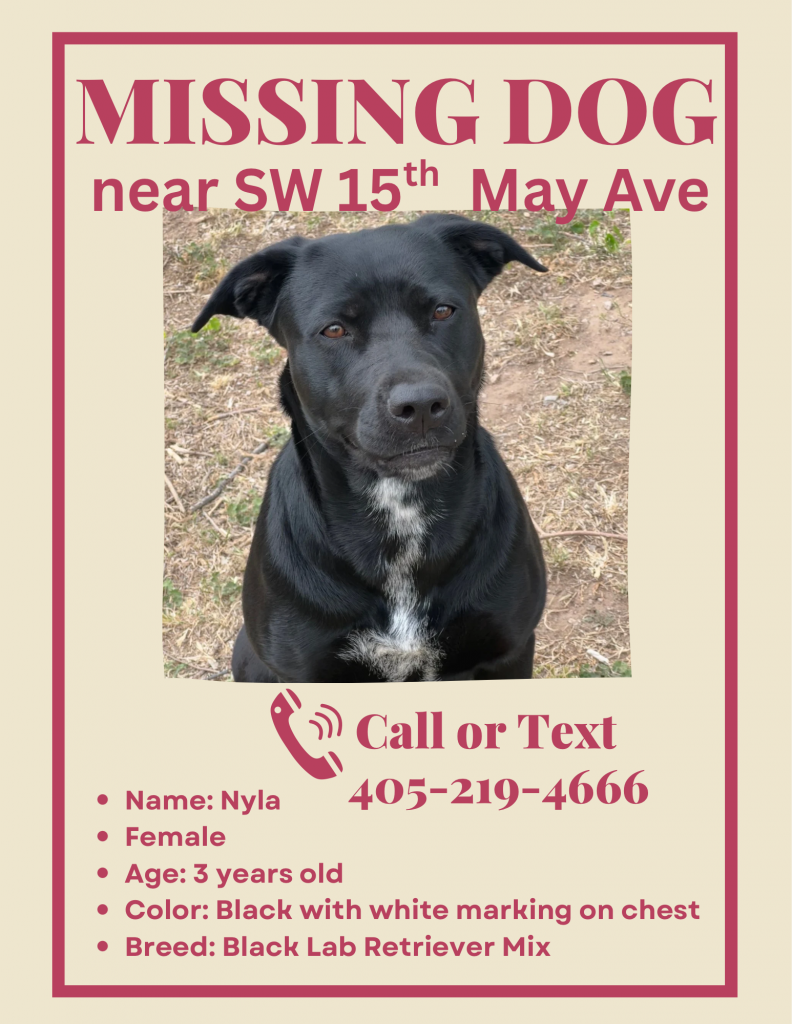 Nyla, lost dog, Black lab retriever mix